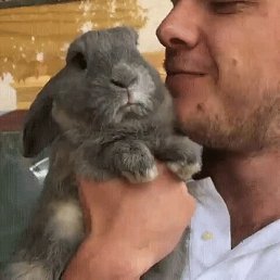 Viktor, , 40 