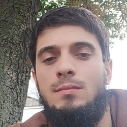 �����, �����������, 28 ���