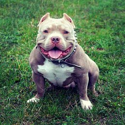 ���� �����, �������, 29 ��� - ��������� 26 ��� 2023