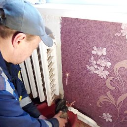 ������, ���, 51 ���