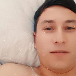 ���� Macho, �����, 38 ��� - ��������� 12 ���� 2023