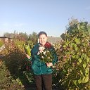 ���� ������, �������, 62 ���� - ��������� 29 ������� 2023 � ������ ���� ����������