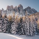 ���� ���������, ����, 80 ��� - ��������� 30 ������ 2023 � ������ ���� ����������