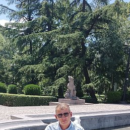 David, �������, 41 ���