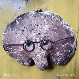 ������, ������, 65 ���