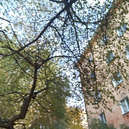 ����������, ������, 53 ����