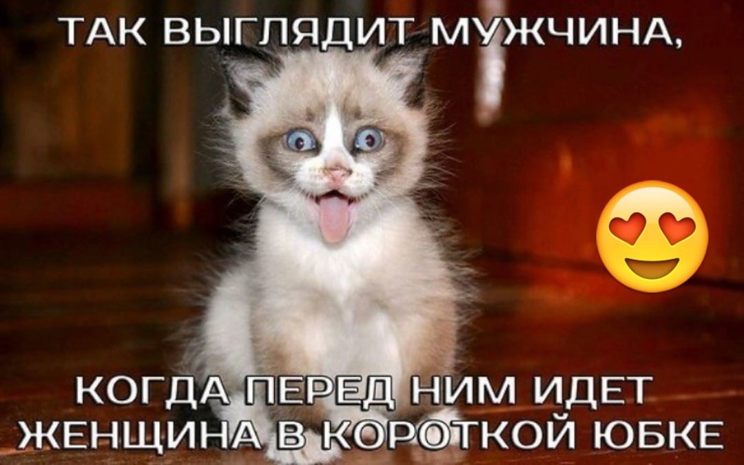  - 13  2023  20:56