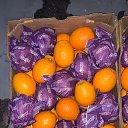 ���� �����, ������, 37 ��� - ��������� 5 �������� 2023