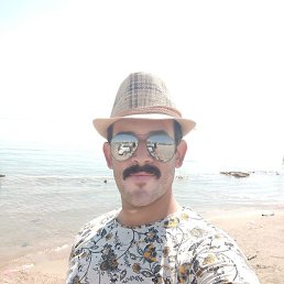 Zain Alnoori, ������, 35 ���