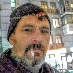 ����, �����-���������, 49 ���