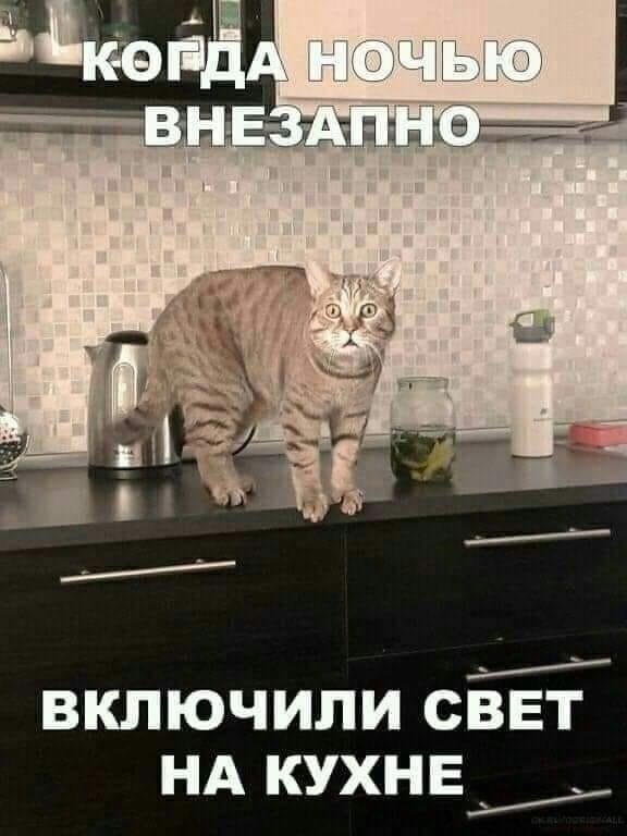   - 29  2023  20:16