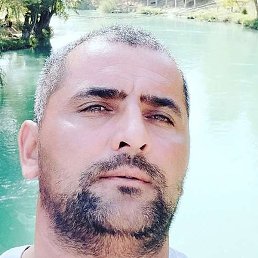 ����, �������, 44 ����