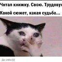   , -, 46  -  22  2023    