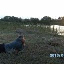 ���� �����, �����, 67 ��� - ��������� 23 ������� 2023 � ������ ���� ����������