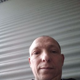 �������, ������, 46 ���