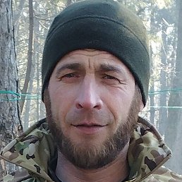 ��������, ����, 43 ����