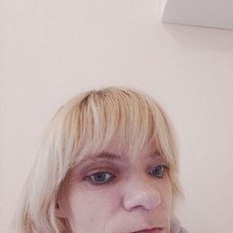 ����, ������, 38 ���