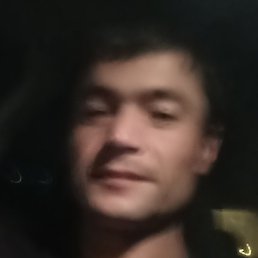 , , 31 