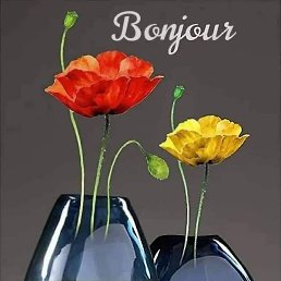 Fleur, �����������, 32 ����