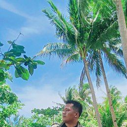 Louie, ������, 33 ����