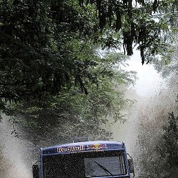 ��������, ������, 36 ���