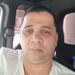 ������, �������, 44 ����