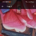 ���� ������, ����, 52 ���� - ��������� 9 ��� 2023
