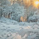 ���� ����, �������������, 75 ��� - ��������� 24 ���� 2023