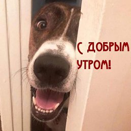 �����, �����������, 35 ���