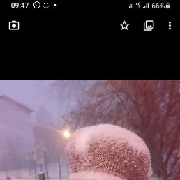 �����, �������, 52 ����