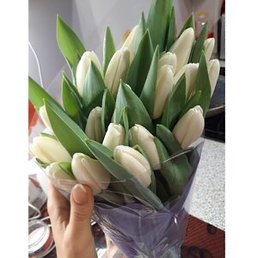 �����, ��������, 37 ���