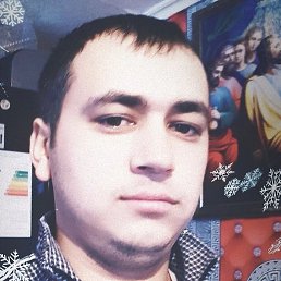 ��������, ������, 37 ���