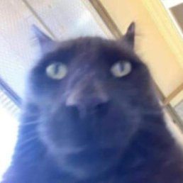 , , 37 