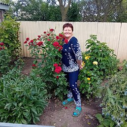 ��������, �������������, 61 ���