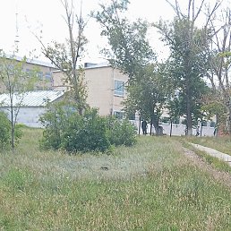 ���������, ������, 44 ����