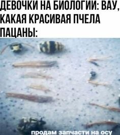   - 18  2023  13:01