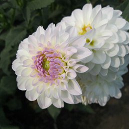 ���� �atyana, ������, 68 ��� - ��������� 28 ����� 2023