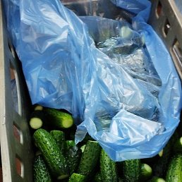 �����, ������, 26 ���