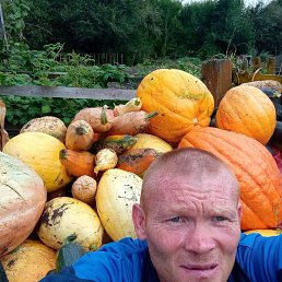 ����, �����������, 43 ����