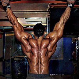 �����, ������, 41 ���