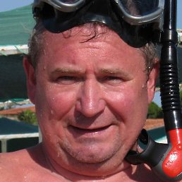 �����, ������, 66 ���