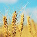 ���� ���������, ����, 80 ��� - ��������� 30 ������ 2023