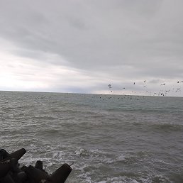 ���� ����, ����, 53 ���� - ��������� 8 ����� 2023