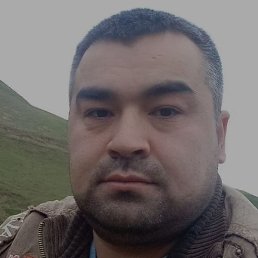 ���, �����-���������, 41 ���