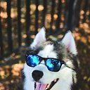 ���� ����, ������, 26 ��� - ��������� 18 ��� 2023 � ������ ���� ����������