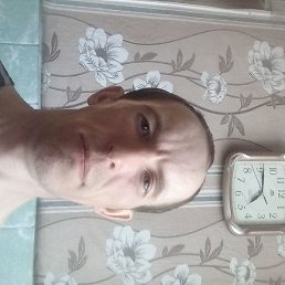 ����, �����������, 39 ���