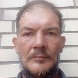 ���������, ������, 50 ���