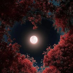 ���� Turall, ����, 44 ���� - ��������� 7 ���� 2023