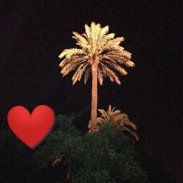 Boos, ������, 24 ����