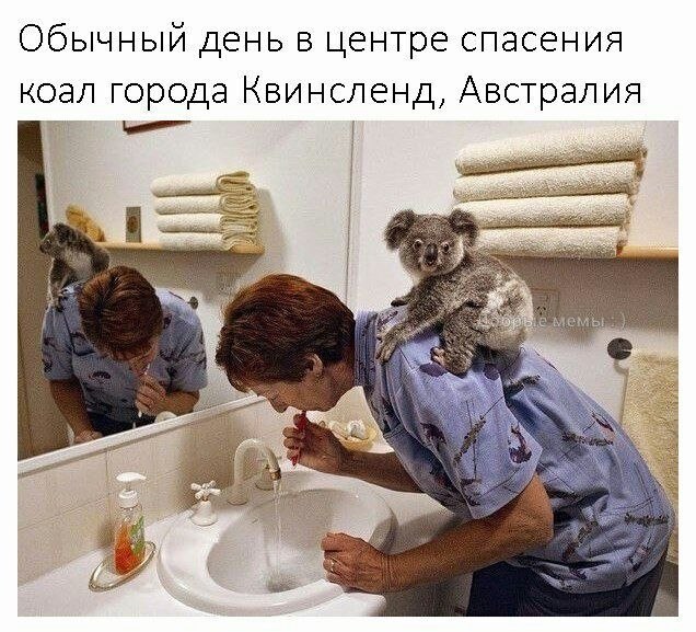    - 26  2023  02:28